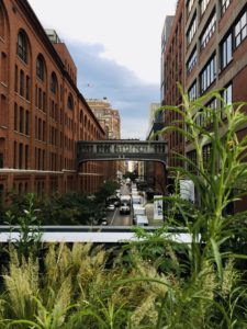 New York High Line