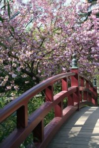 Japanische_Gärten_5